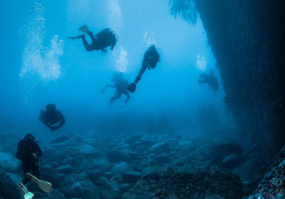 Sunlight filtering through a vibrant reef