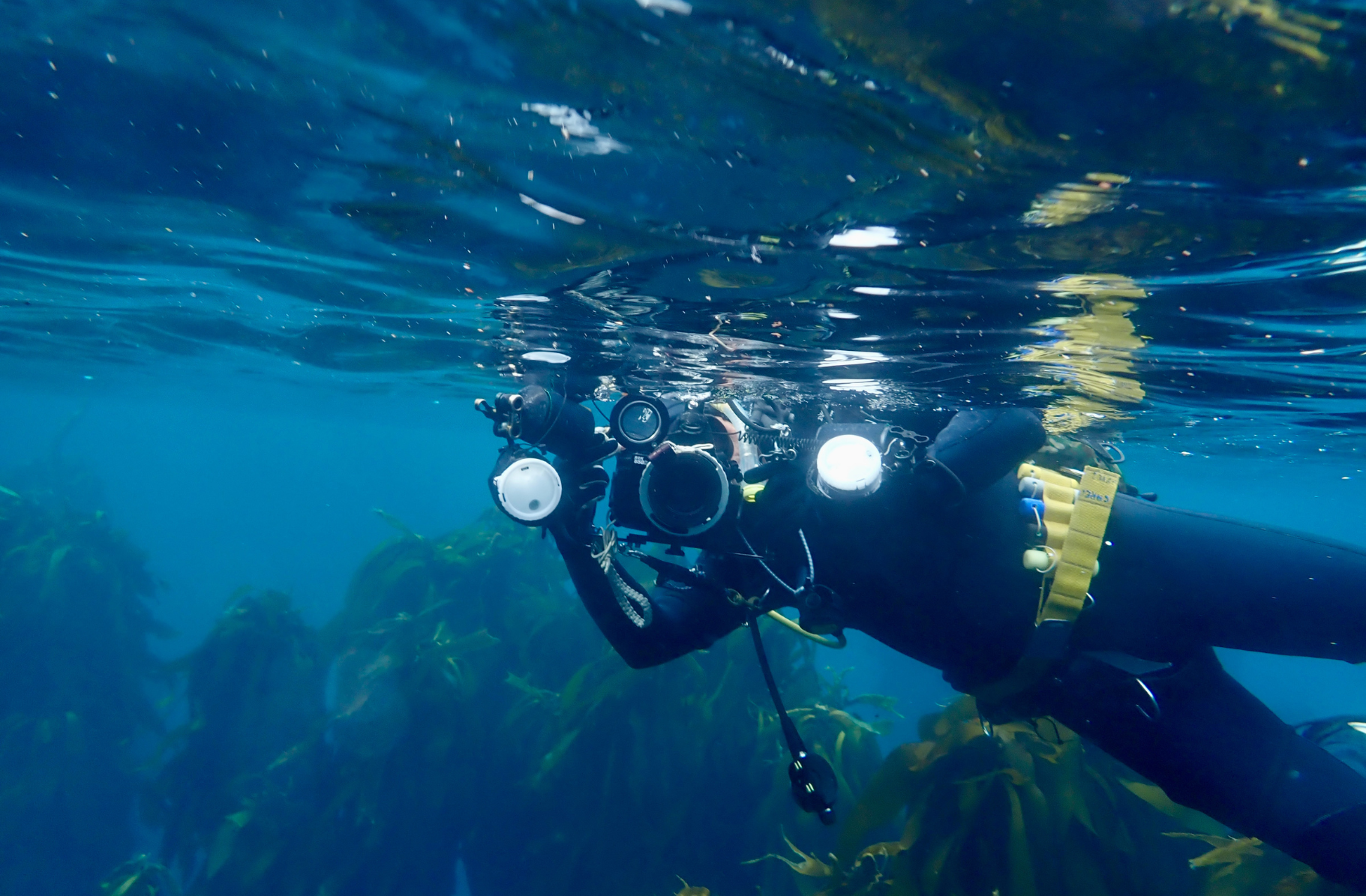 fbuc-contact-details