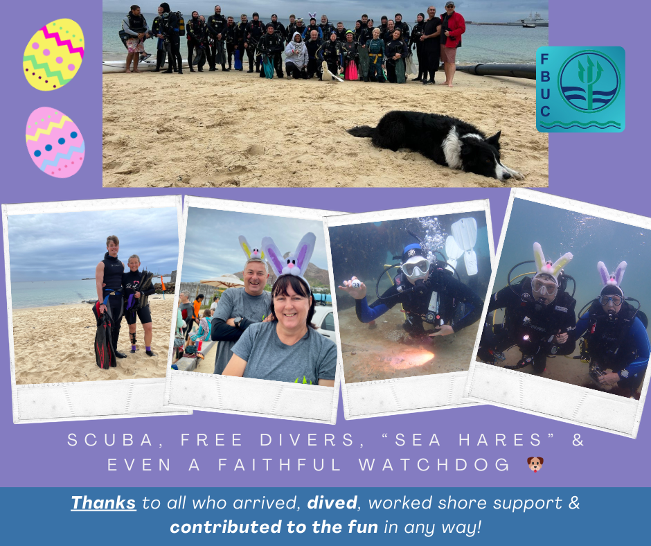 underwater easter egg hunt cape town