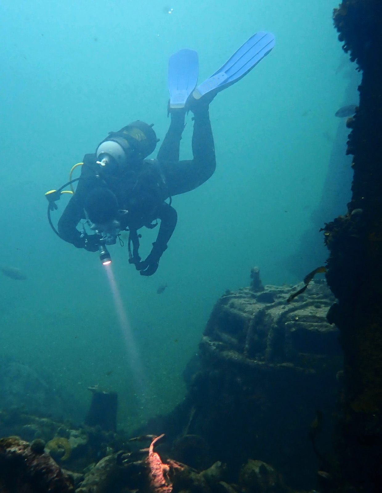 19f7fe5d-0a77-4c88-b200-cfb82bb842d3